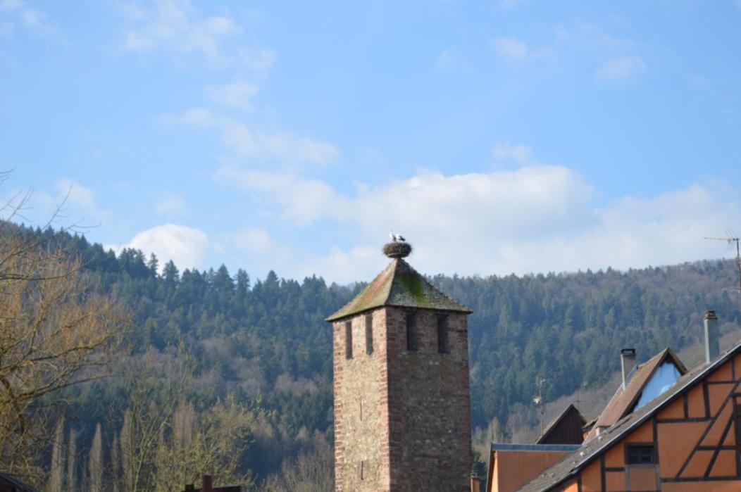 Coeur D'Alsace Apartment Kaysersberg-Vignoble Exterior photo